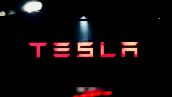 Elon Musk's reputation is falling, and with it Tesla